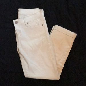 Loft Pants
